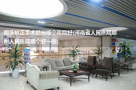 阴茎矫正手术郑州哪个医院好(河南省人民医院郑州人民医院哪个好一些)
