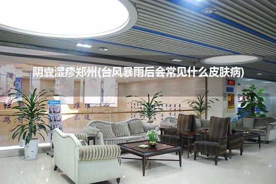 阴囊湿疹郑州(台风暴雨后会常见什么皮肤病)