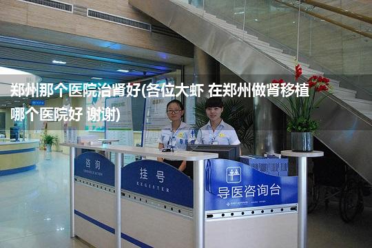 郑州那个医院治肾好(各位大虾 在郑州做肾移植哪个医院好 谢谢)