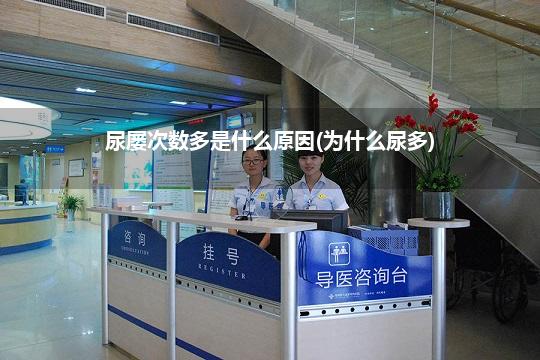 尿屡次数多是什么原因(为什么尿多)
