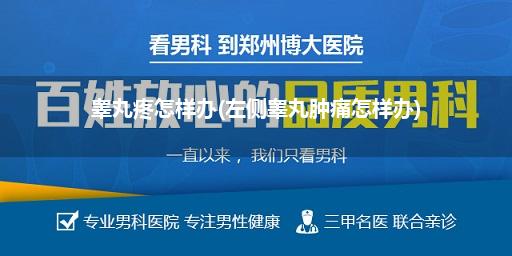 睾丸疼怎样办(左侧睾丸肿痛怎样办)