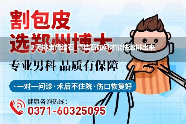 2天排出肾结石_肾结石如何才能快速排出来