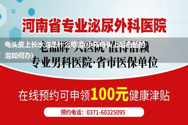 龟头皮上长水泡是什么原因(小乌龟头上起白色的泡如何办)