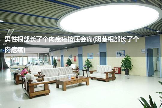 男性根部长了个肉疙瘩按压会痛(阴茎根部长了个肉疙瘩)