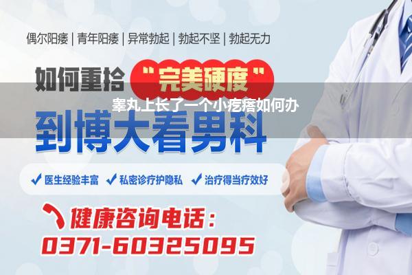 睾丸上长了一个小疙瘩如何办