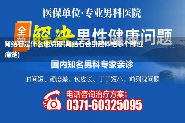 肾结石是什么地点疼(肾结石会引起体格哪个部位痛楚)