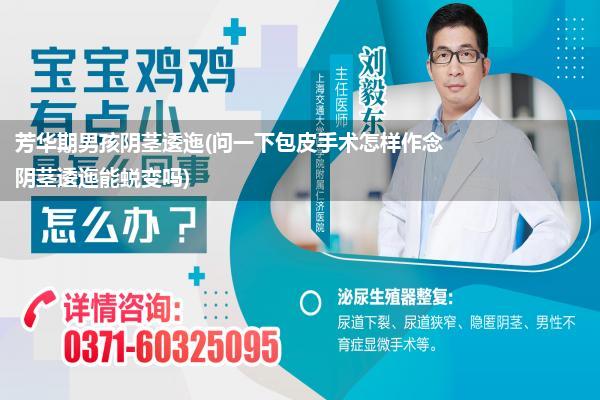 芳华期男孩阴茎逶迤(问一下包皮手术怎样作念 阴茎逶迤能蜕变吗)