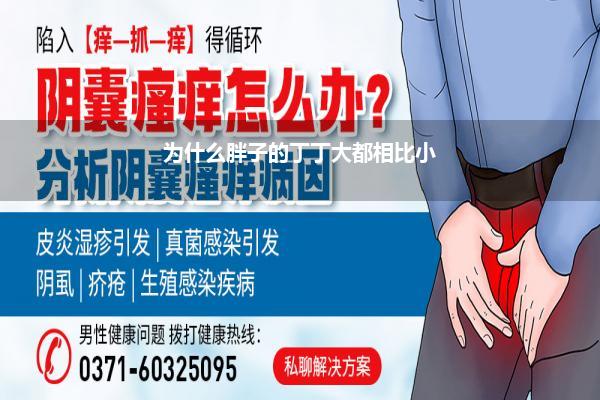 为什么胖子的丁丁大都相比小