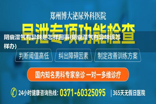阴囊湿气有异味是怎样回事(阴囊湿气有异味该怎样办)