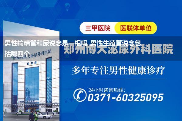 男性输精管和尿说念是一根吗_男性生殖管说念包括哪四个