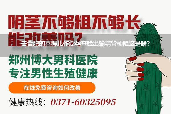 去合肥的喜得儿作念孕查验出输精管梗阻这是啥?