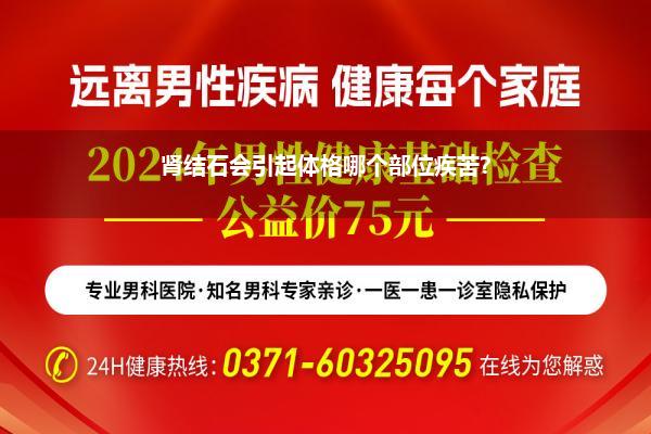 肾结石会引起体格哪个部位疾苦?