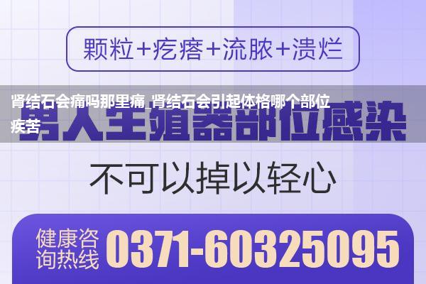 肾结石会痛吗那里痛_肾结石会引起体格哪个部位疾苦