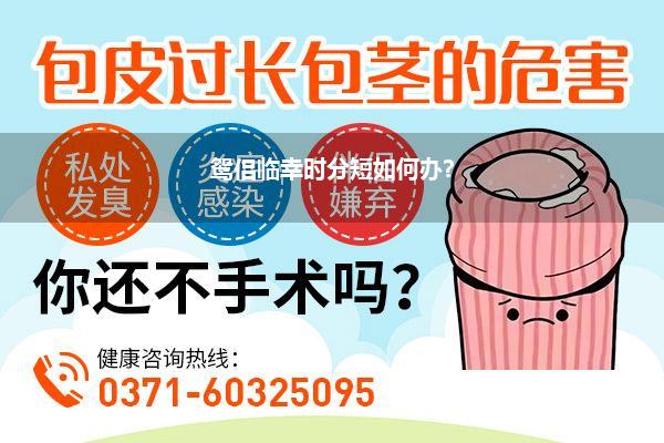 鸳侣临幸时分短如何办?