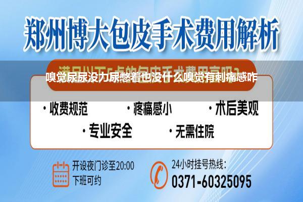 嗅觉尿尿没力尿憋着也没什么嗅觉有刺痛感咋