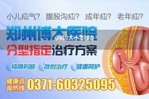 小鸡太小怎样办