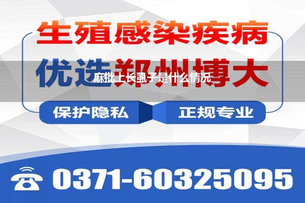 麻批上长虱子是什么情况