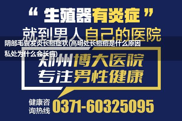 阴部毛囊发炎长痘症状(高明处长痘痘是什么原因私处为什么会长痘)