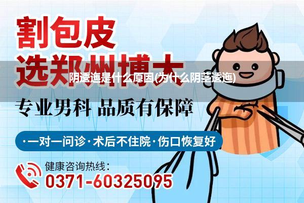 阴逶迤是什么原因(为什么阴茎逶迤)