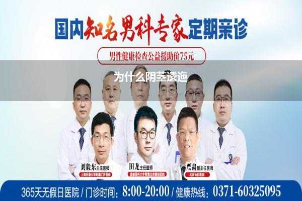 为什么阴茎逶迤