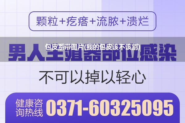 包皮系带图片(我的包皮该不该割)