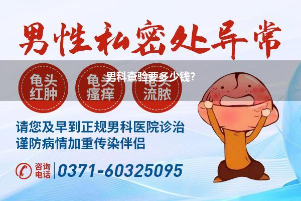 男科查验要多少钱?
