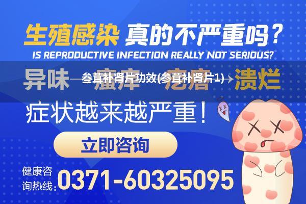 叁茸补肾片功效(参茸补肾片1)