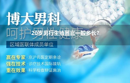 20岁男行生殖器官一般多长?