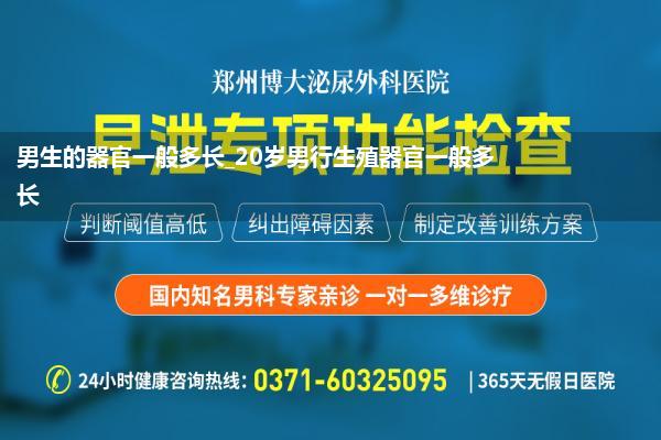 男生的器官一般多长_20岁男行生殖器官一般多长