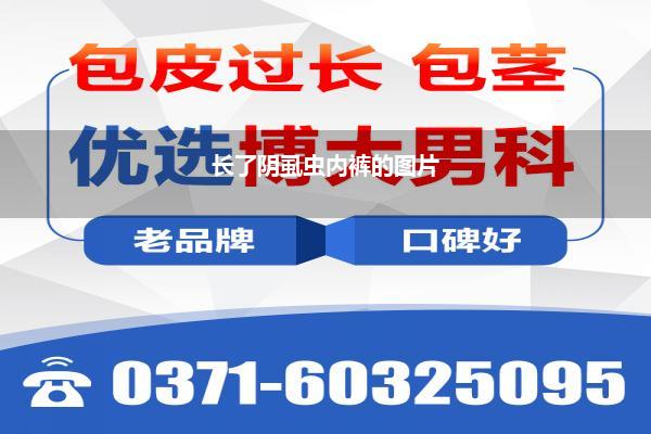 长了阴虱虫内裤的图片