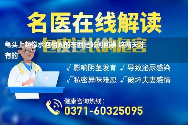 龟头上起像水泡相同的东西是如何回事 这两天才有的