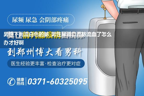 男性下面流白色的脓_男性尿道口流脓流血了怎么办才好啊