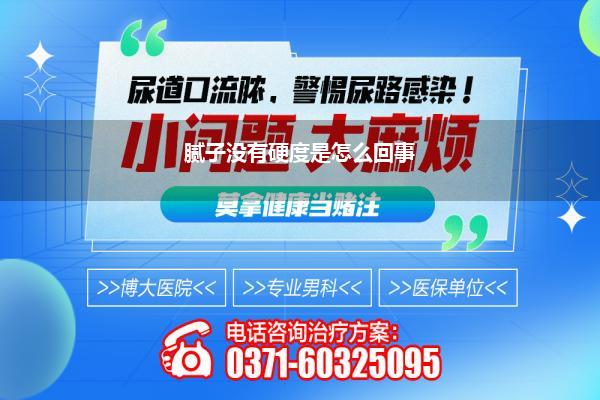 腻子没有硬度是怎么回事