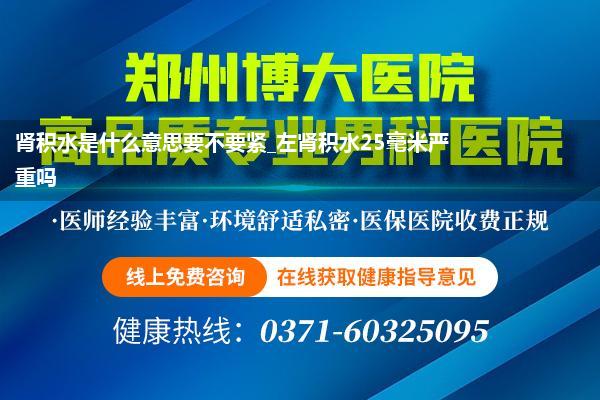 肾积水是什么意思要不要紧_左肾积水25毫米严重吗
