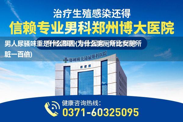 男人尿骚味重是什么原因(为什么男厕所比女厕所脏一百倍)