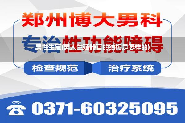 男性生殖(男人生殖器官的结构是怎样的)