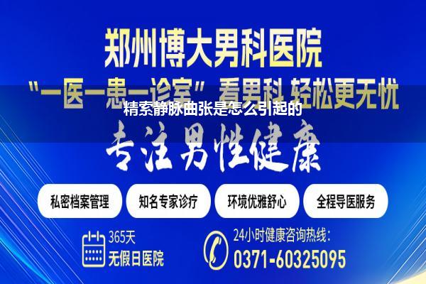 精索静脉曲张是怎么引起的
