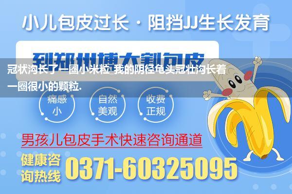 冠状沟长了一圈小米粒_我的阴径龟头冠壮沟长着一圈很小的颗粒.