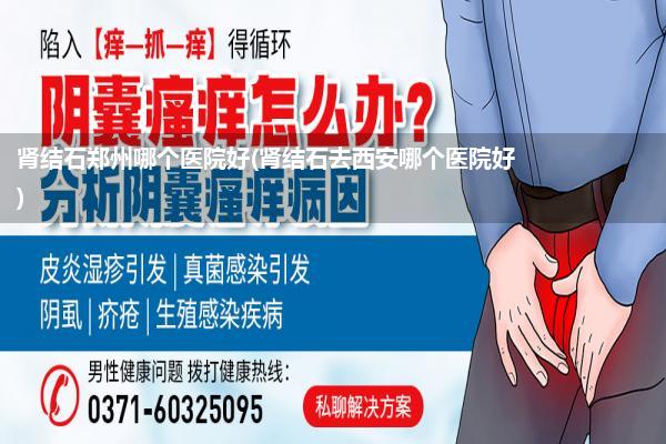 肾结石郑州哪个医院好(肾结石去西安哪个医院好)