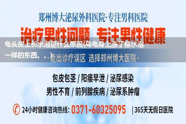 龟头皮上长水泡是什么原因(乌龟身上涨了像水泡一样的东西。。)