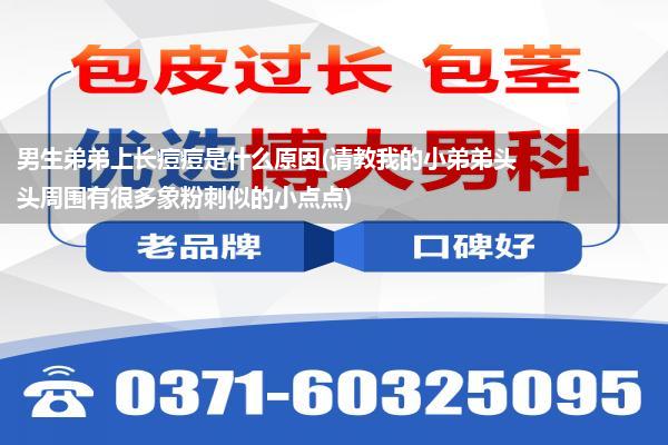 男生弟弟上长痘痘是什么原因(请教我的小弟弟头头周围有很多象粉刺似的小点点)