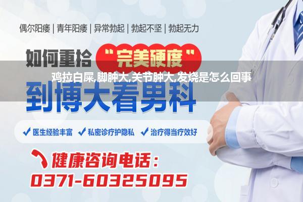 鸡拉白屎,脚肿大,关节肿大,发烧是怎么回事